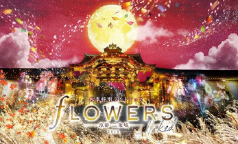 NAKEDとは | 表参道の街中に雪がふる！光に包まれた幻想的なアート空間「SNOW FANTASIA Directed by NAKED」を体験