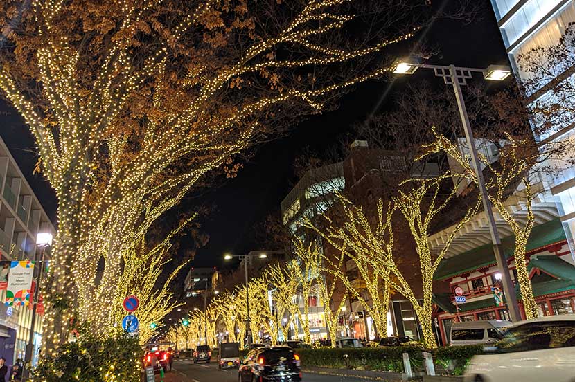 シャンパンゴールド | 表参道の街中に雪がふる！光に包まれた幻想的なアート空間「SNOW FANTASIA Directed by NAKED」を体験
