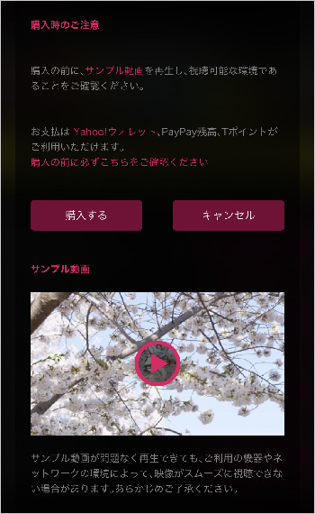 問題なく視聴できる環境か、購入前にテスト