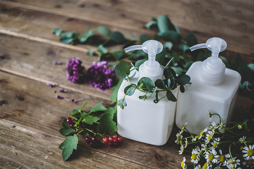 SDGsの目標15「陸の豊かさも守ろう」。すべての生き物と自然を大切に(3分で分かるSDGs)