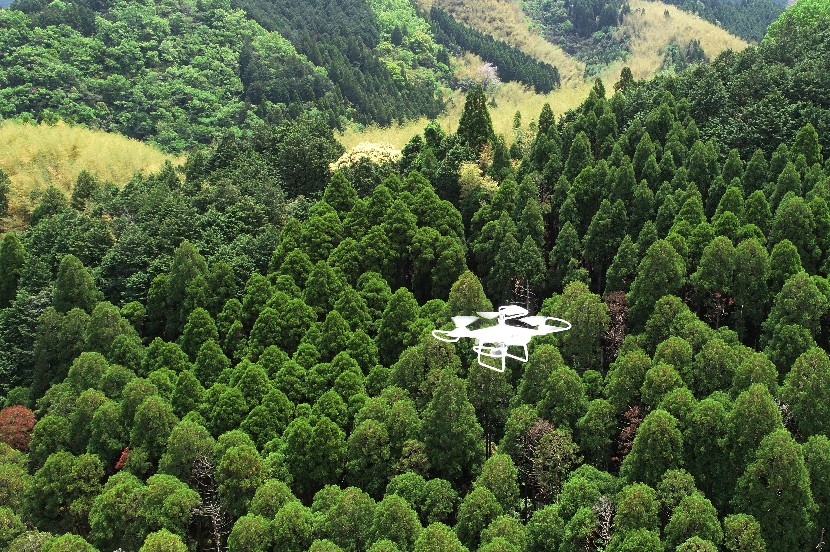 制度改革や制度利用、木育、スマート林業…広がる国や企業の多様なアプローチ