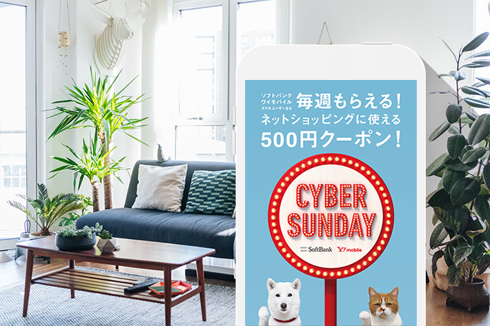 “2〜3月の「CYBER