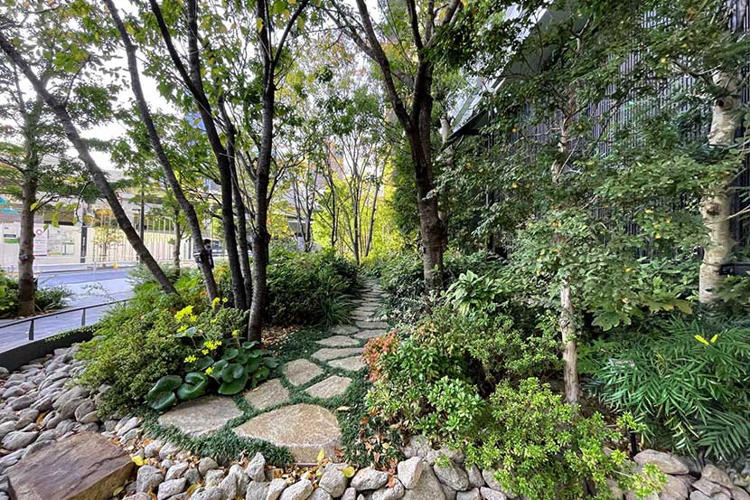 「流す」から「蓄える」へ。雨水を貯めて、ゆっくりと地下へ浸透させるレインガーデン