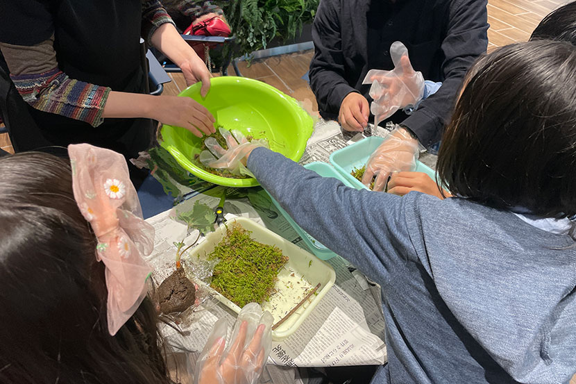 植物にもやさしい雨水を活用して、「こけ玉づくり」にチャレンジ！