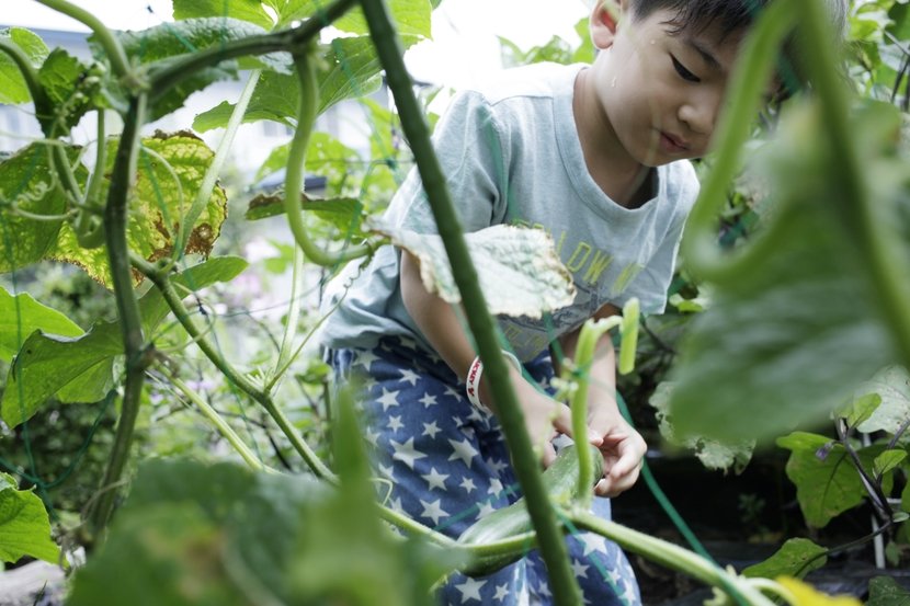 子どもが何かに夢中になっているときの様子や表情は魅力的！