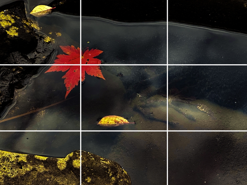 三分割構図とは?