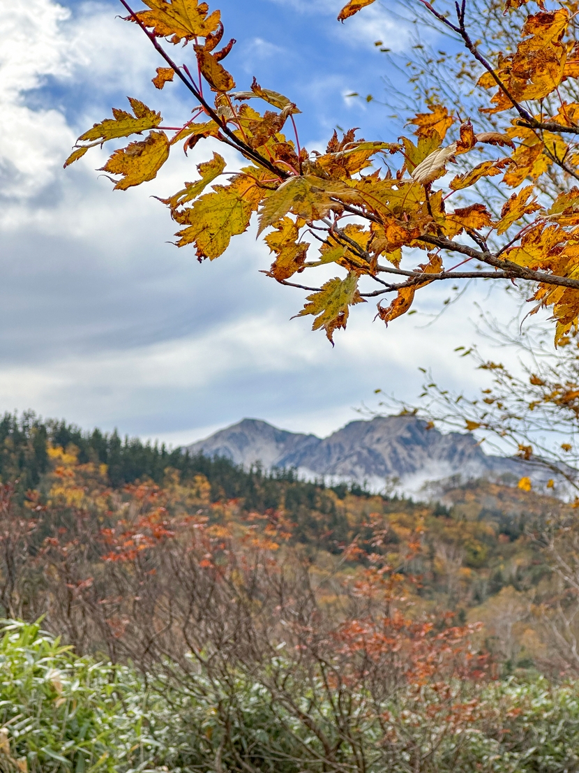 高原と白馬三山をバックに、色づいた紅葉。自動補正機能を使って撮影