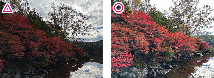 逆光によって紅葉が暗くなる/自動露出機能で明るく撮ることができる