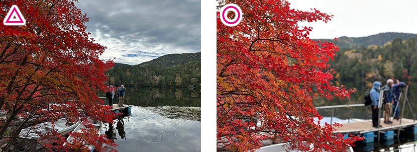 通常の「カメラ」モードで撮影/ポートレートモードで撮影。背景などが大きくぼやける