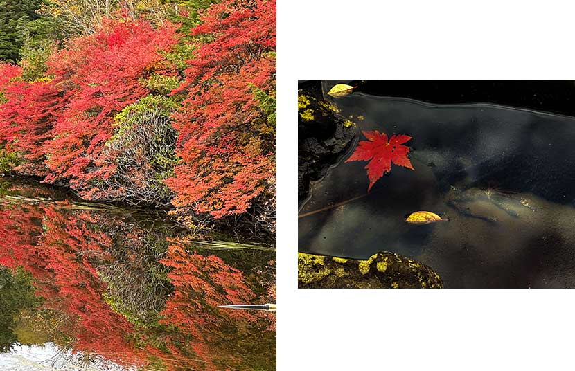 水面を使って紅葉やもみじを撮影