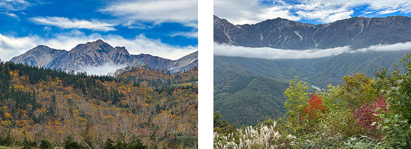 色づいた紅葉に白馬三山を構図として撮影(栂池自然園)/後立山連峰をバックに紅葉とススキのコラボ(長野県白馬村)
