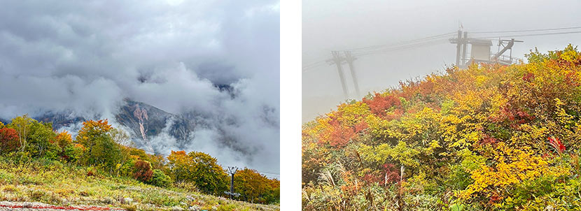 山頂の霧も大自然が創り出す景観の醍醐味、紅葉とコラボ(自動補正機能を使って撮影)/幻想的な背景に紅葉の鮮やかな彩り