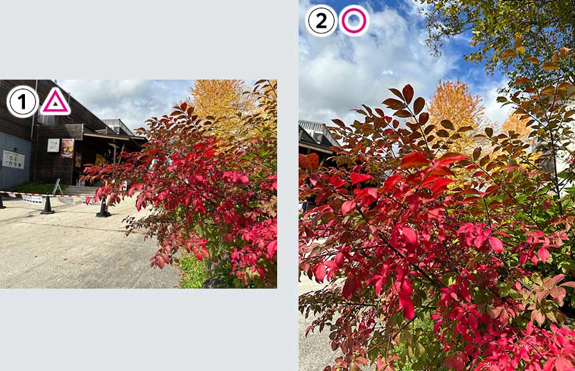 写真は「引き算+構図」で決まる