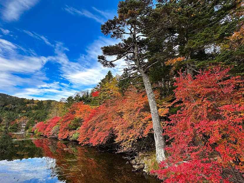 晴れの場合:青空を入れて撮影