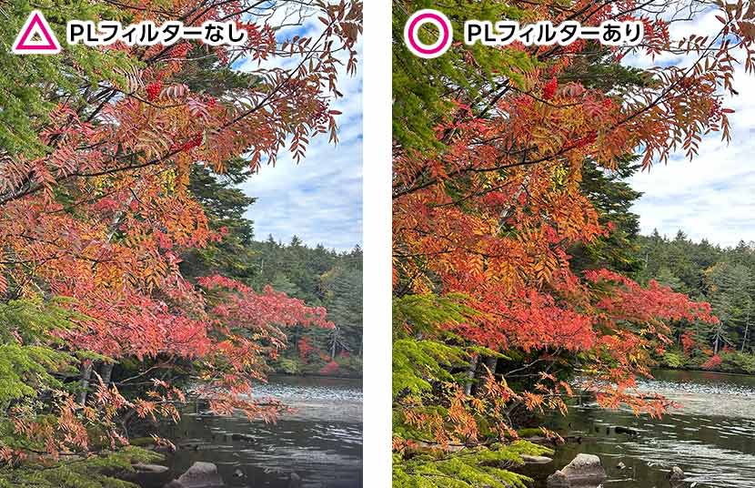 PLフィルター(偏光フィルター)を活用する
