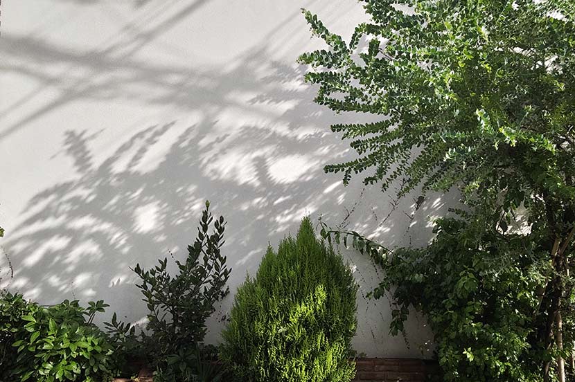 ☆アイフォンに転送☆超有名ブランド ライカレンズ☆パナソニック FZ30