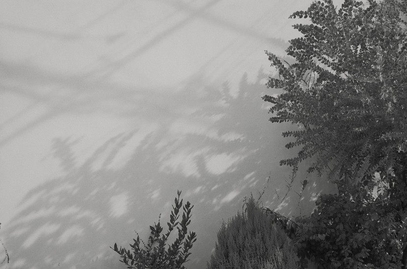 ライカM6で撮影。差し込むやわらかな光と影を繊細に捉えている