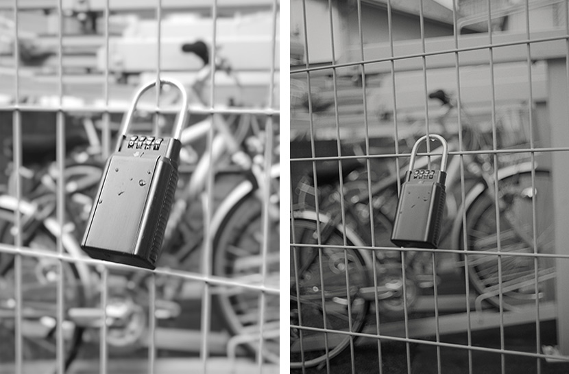 左は「Leitz Phone 2」モノクロームで撮影。NOCTILUX 50によるライカ独特のボケ感と雨粒まで捉える高性能な描写力がわかる。右はライカM6で撮影。フィルムカメラでも「Leitz Phone 2」でも綺麗なボケ感やモノクロフィルムならではのシャープさが際立っている