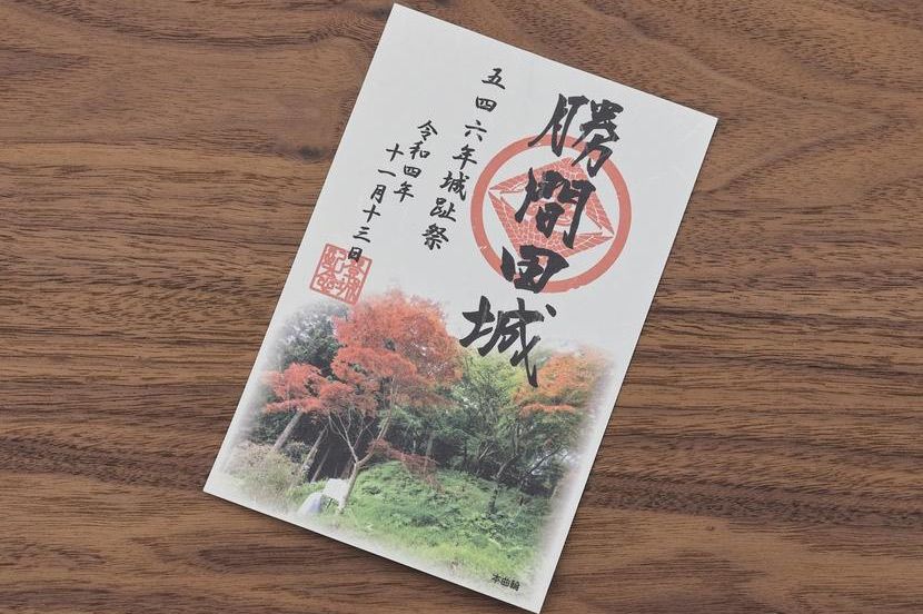 ②貴重な山城の風情とロマンを1枚に【勝間田城跡／静岡県牧之原市】