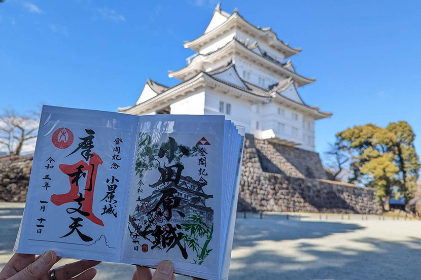 実際に小田原城で御城印をゲットしてきました！