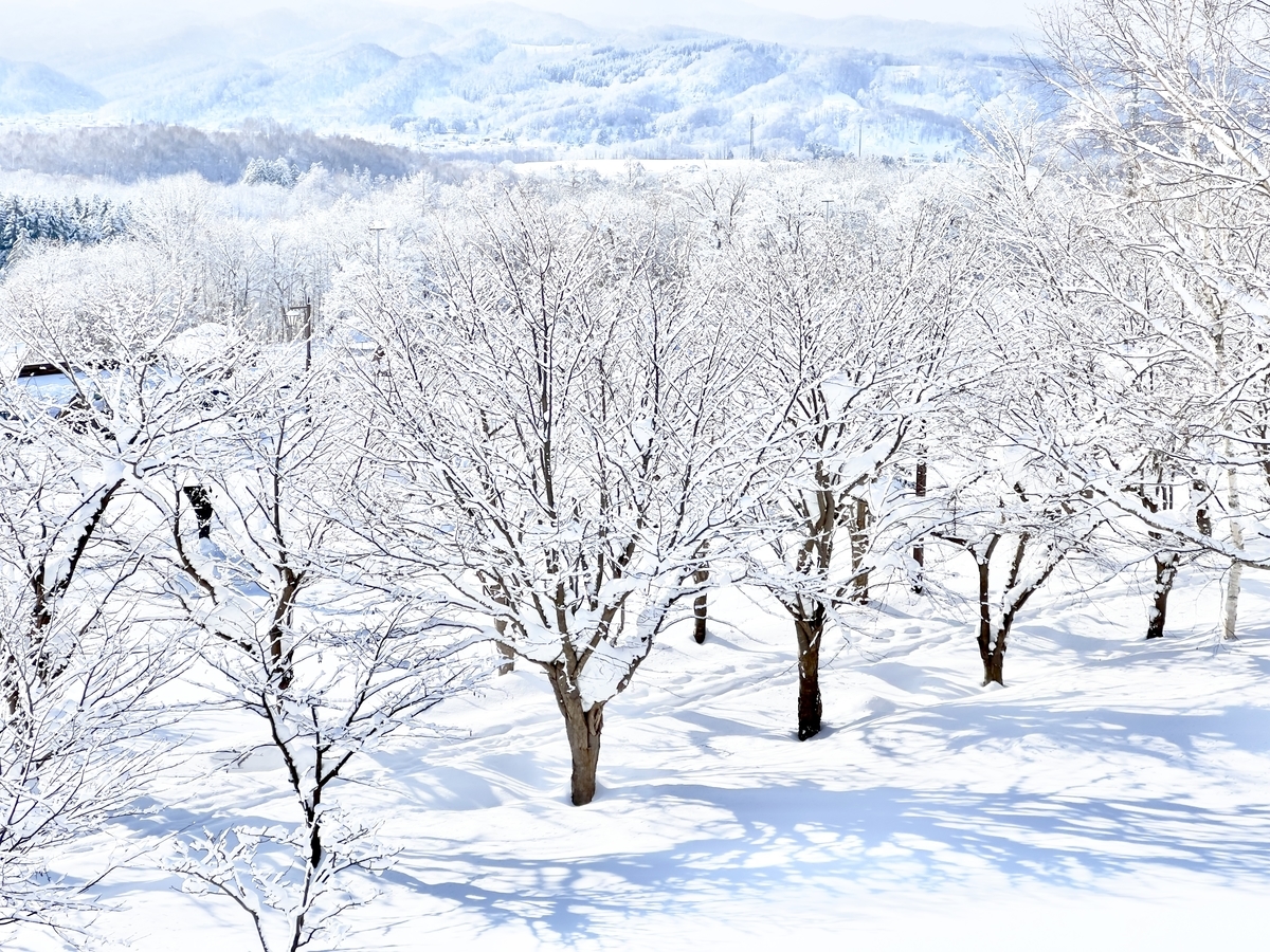 ハイスペック&多彩なカメラ機能搭載の最新スマホで雪撮影を楽しもう！