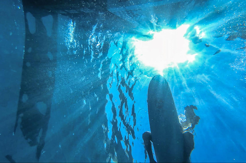 高価なカメラがなくても、スマホで美しい水中写真が撮れる
