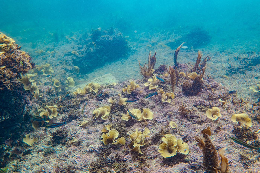 とにかく枚数で勝負! 試してみたいシーン別撮影テクニック