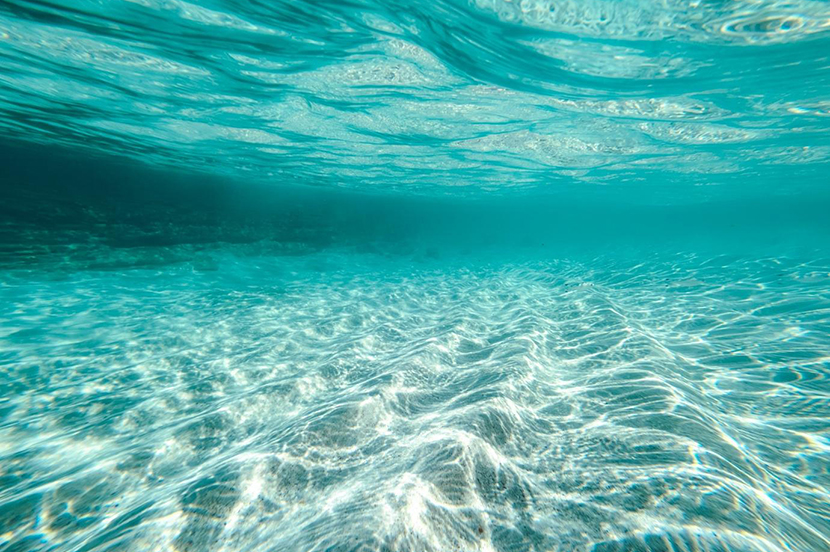 太陽が出たらキラキラ水面チャンス