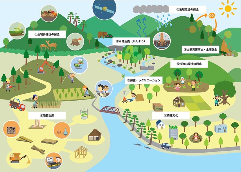 暮らしを支える森林が担う、8つの役割