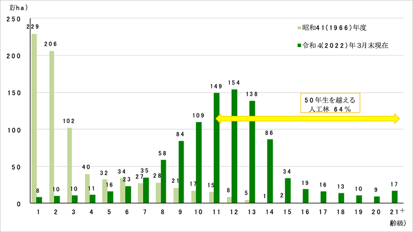 人工林の齢級構成の変化（出典：林野庁 令和5年度森林・林業白書）