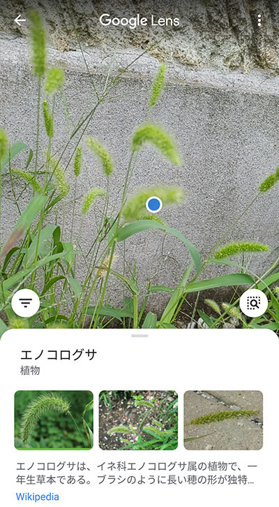 早速近所を散策開始！ 気になるものをどんどん調べてみよう