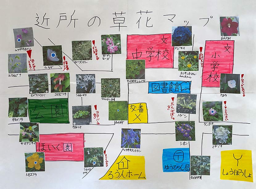 調べた写真を並べて、ご近所草花マップ完成！