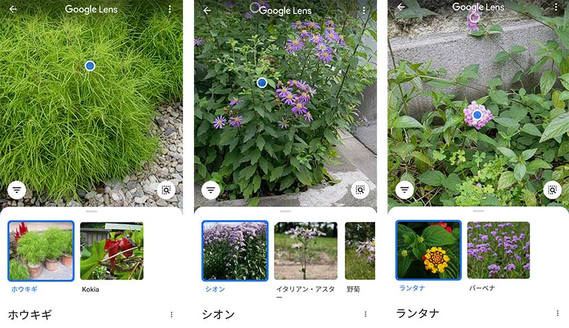 早速近所を散策開始！ 気になるものをどんどん調べてみよう