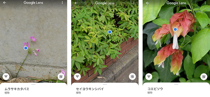 早速近所を散策開始！ 気になるものをどんどん調べてみよう
