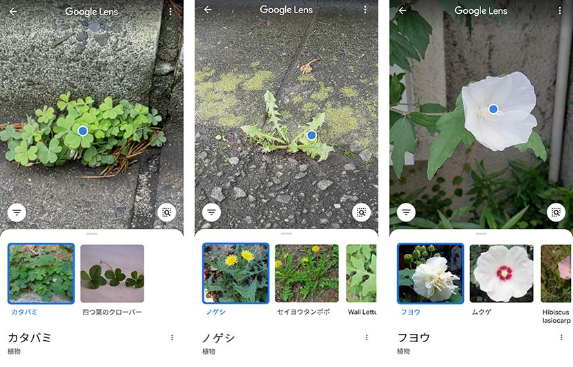 早速近所を散策開始！ 気になるものをどんどん調べてみよう