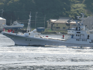 カツオを水揚げするために気仙沼魚市場に入港した三重県のカツオ漁船