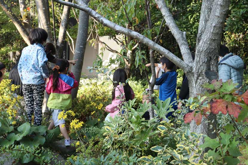 「流す」から「蓄える」へ。雨水を貯めて、ゆっくりと地下へ浸透させるレインガーデン