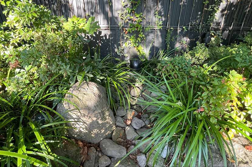 「流す」から「蓄える」へ。雨水を貯めて、ゆっくりと地下へ浸透させるレインガーデン