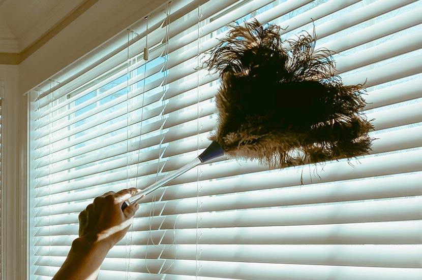 ホコリの正体は繊維や皮脂のかけら!? その発生メカニズムは?