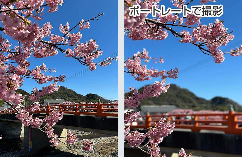 ピントが合う距離の範囲「被写界深度」は撮りたい写真で使い分けよう