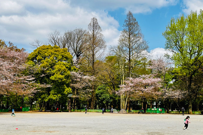 「順光」で撮影した風景。太陽の角度が高い時間なら影が出ず色鮮やかに