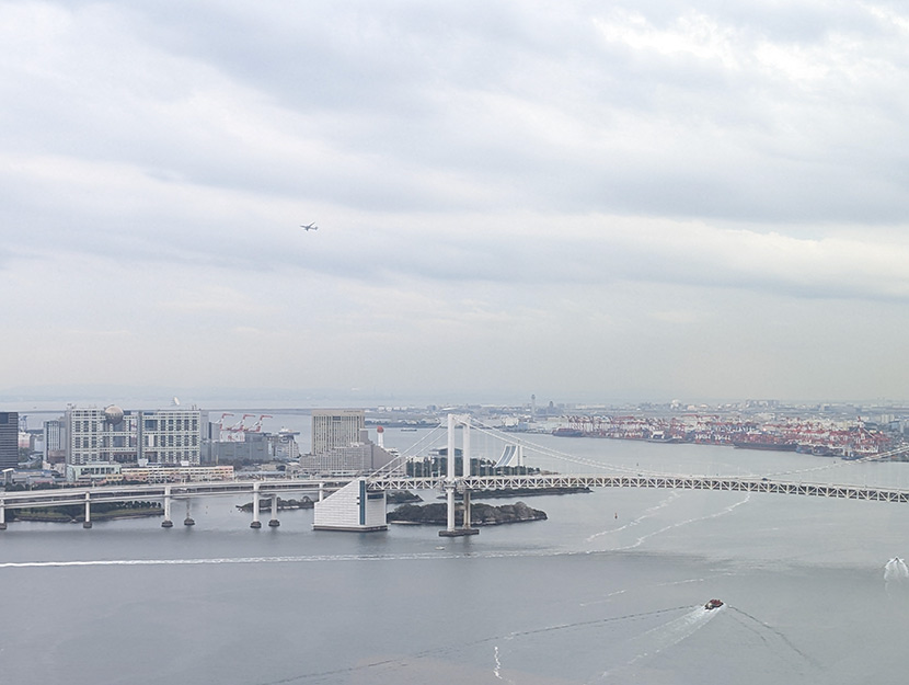 大崎さんが撮影した写真