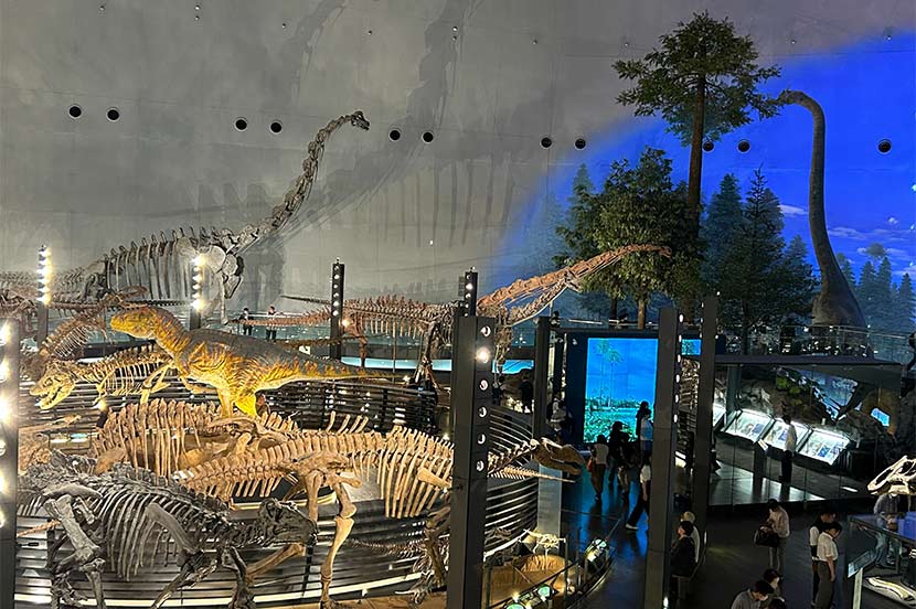 恐竜たちと時空を超える冒険へ！「恐竜博物館」
