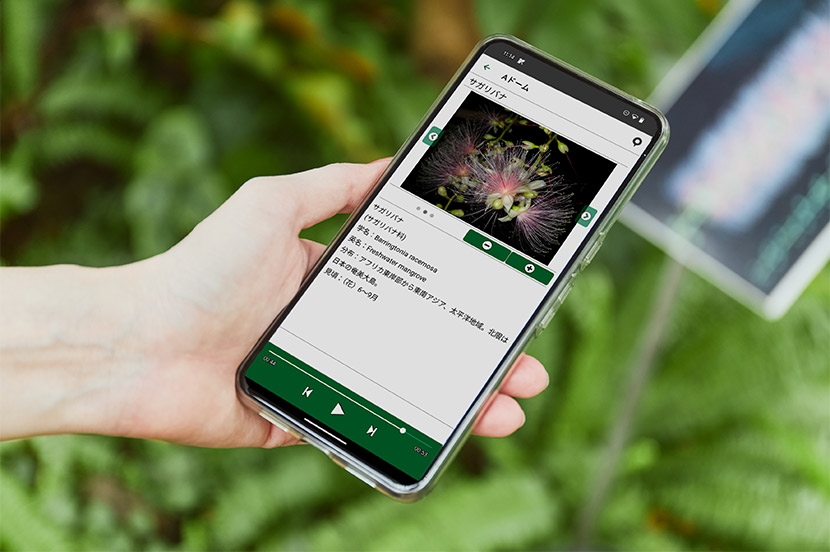 スポット②：夢の島熱帯植物館（スマートフォンアプリ）