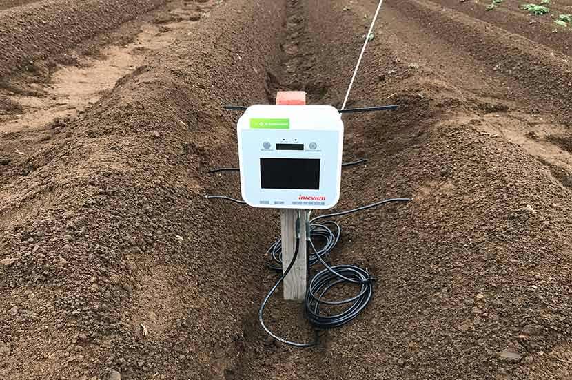 カルビーポテト株式会社におけるジャガイモ栽培の実証実験に導入されたe-kakashi ※2021年撮影