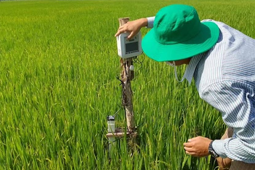 国立研究開発法人 国際農林水産業研究センター(JIRCAS)による東南アジアカンボジアにおける水田メタン発生抑制の研究に「e-kakashi」を活用