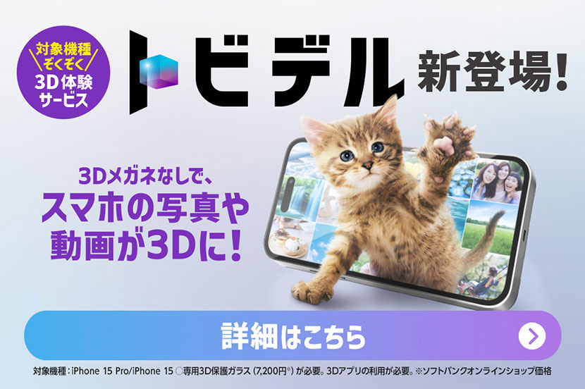 3D体験サービス「トビデル」