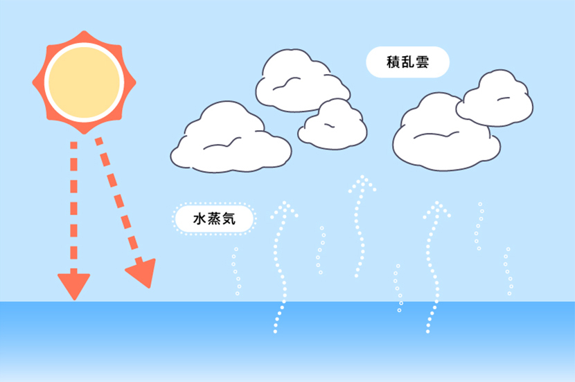 温められた海水が、水蒸気から積乱雲になる