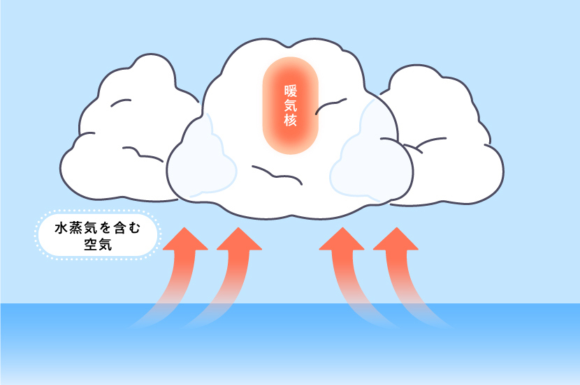 積乱雲が集まり、大気の中心に「暖気核」ができる