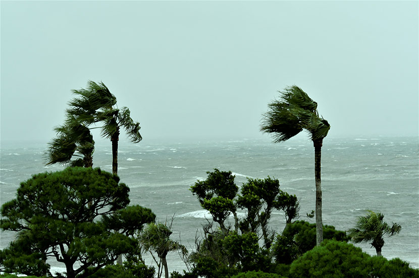 風台風の対策